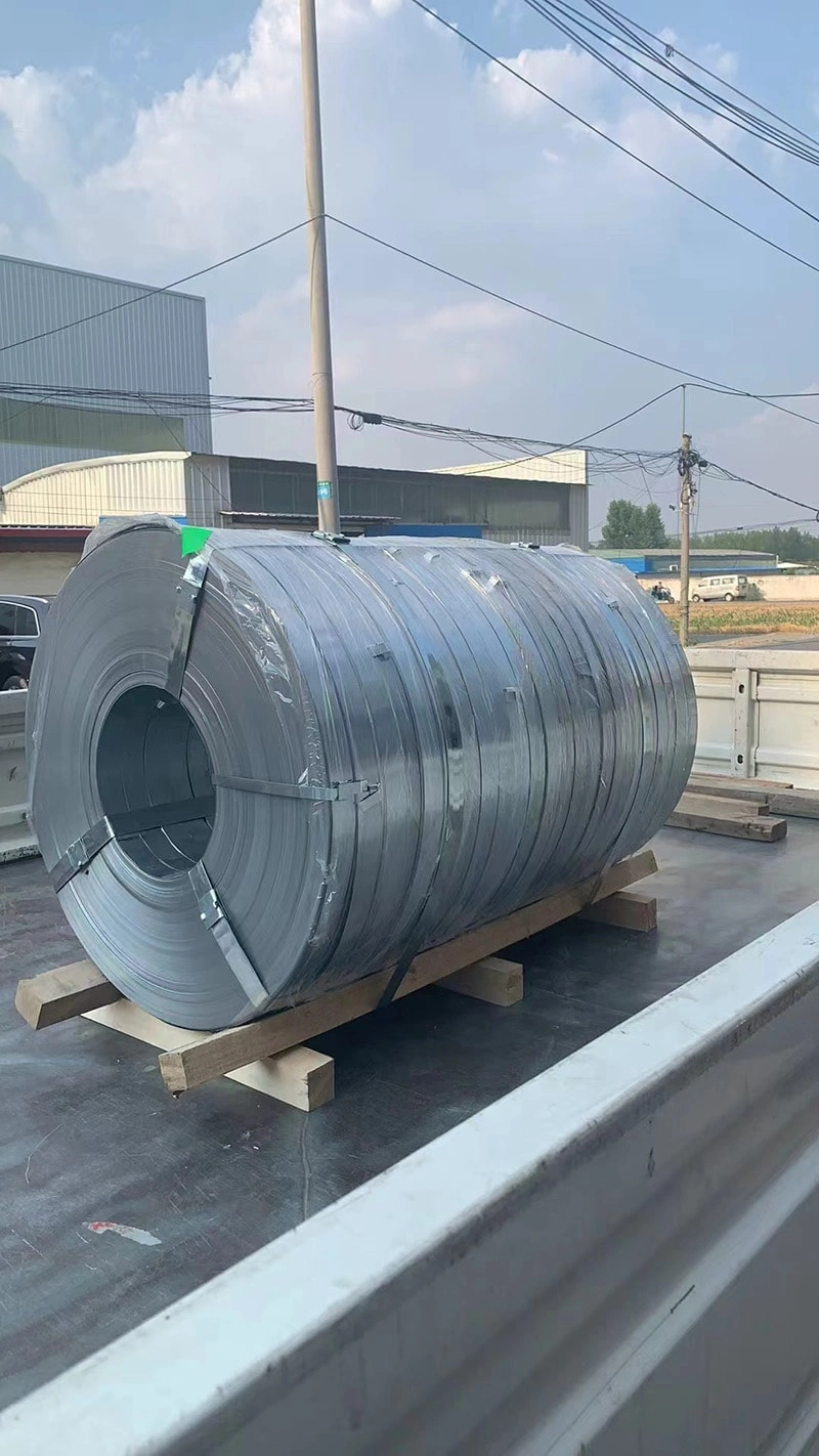 1770371816590137.webp 785b4603b6b93cfc1197b0d9036ad4fd 拷贝.webp